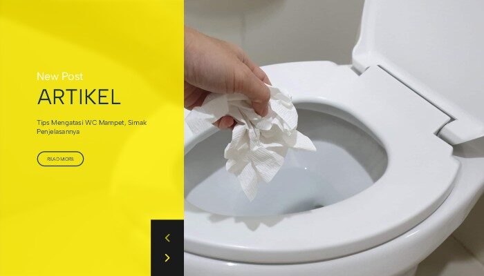 Tips Mengatasi WC Mampet, Simak Penjelasannya